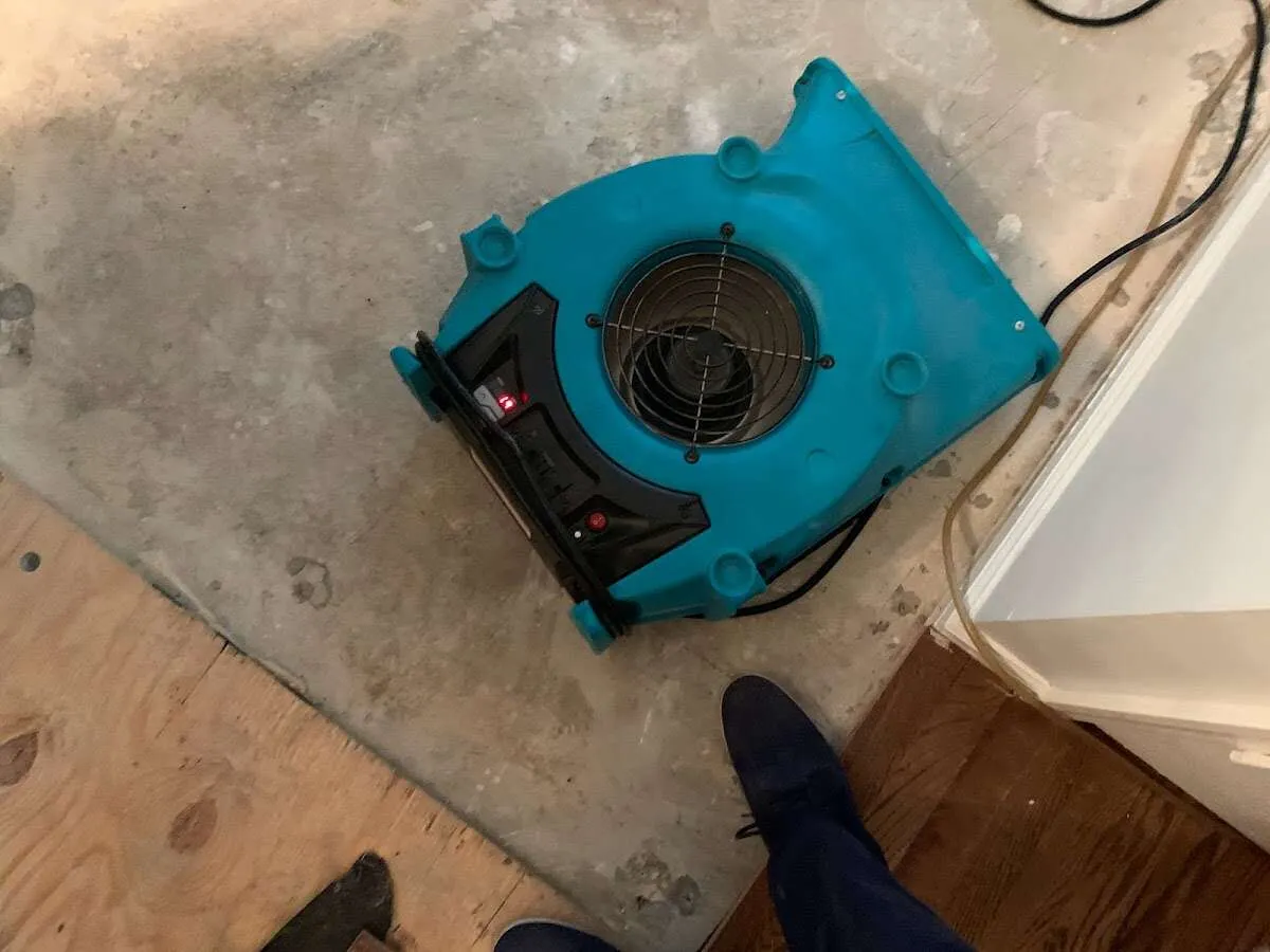 Air mover drying subfloor during Commercial Water Damage Restoration in Northbridge